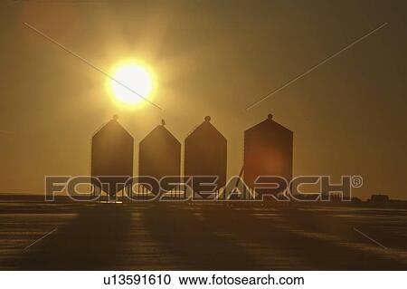 bins, sun, grain, four, behind, setting View Large Photo Image Stock Image - bins, sun, grain, four, behind, setting. Fotosearch