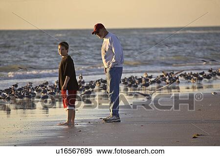 Stock Photography - boy, gulls, laughing, stopped, male. Fotosearch