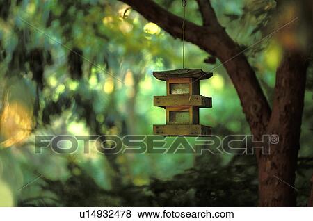 branch, greenbank, woodland, bird, washington, forest View Large Photo Image Stock Photo - branch, greenbank, woodland, bird, washington, forest. Fotosearch