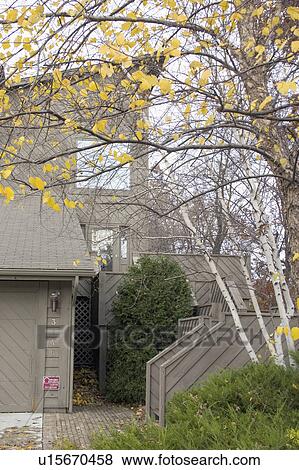 Stock Photo - brighton, designed, new, home, suburban, modern. Fotosearch