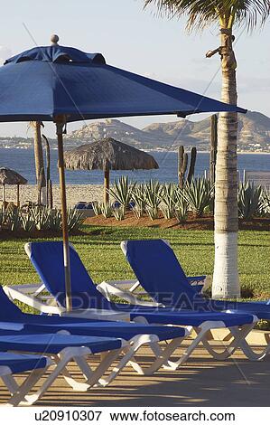cabos, california, baja, chairs View Large Photo Image Stock Photo - cabos, california, baja, chairs. Fotosearch