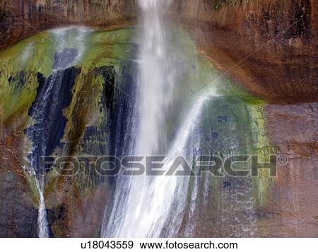 Stock Photo - calf, water, falls, creek, graphy. Fotosearch