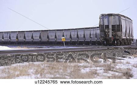 Stock Photography - canada, cars, saskatchewan, scenic, siding, railway. Fotosearch