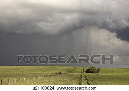canada, clouds, saskatchewan, scenic, rain, storm View Large Photo Image Picture - canada, clouds, saskatchewan, scenic, rain, storm. Fotosearch