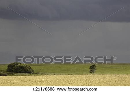 Stock Photo - canada, clouds, saskatchewan, scenic, rain, storm. Fotosearch