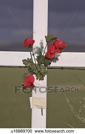 Stock Image - canada, cross, saskatchewan, scenic, flowers, roadside. Fotosearch