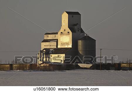 Stock Image - canada, elevator, saskatchewan, scenic, tuxford, grain. Fotosearch
