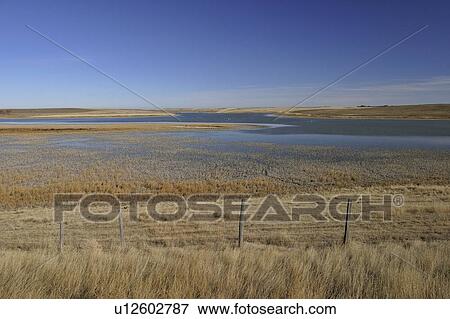 Stock Photo - canada, pond, saskatchewan, scenic, readlyn, marshy. Fotosearch