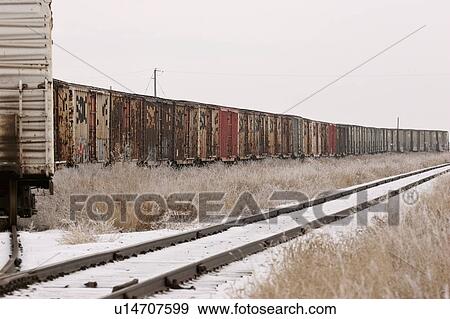 canada, railway, saskatchewan, scenic, siding, boxcars View Large Photo Image Stock Photo - canada, railway, saskatchewan, scenic, siding, boxcars. Fotosearch