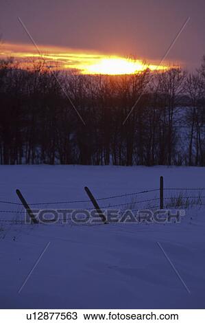 Stock Image - canada, setting, winter, sunset, saskatchewan. Fotosearch