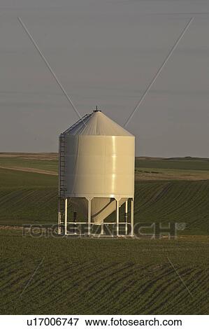 canada, silo, saskatchewan, scenic, sunset, grain View Large Photo Image Stock Photo - canada, silo, saskatchewan, scenic, sunset, grain. Fotosearch