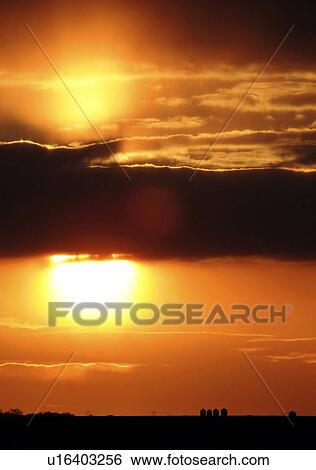 Stock Photograph - canada, sunset, western, saskatchewan, scenic, gorgeous. Fotosearch