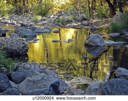 Picture - canyon, gold, woods, water, creek. Fotosearch