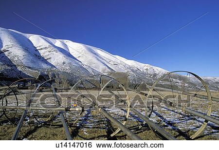 Stock Photograph - canyon, landscape, yakima, snowy, farm, crops. Fotosearch
