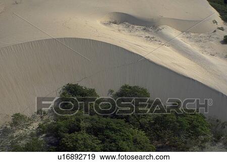 ceara, dune, camosin, ride, buggy, enjoy View Large Photo Image Stock Photo - ceara, dune, camosin, ride, buggy, enjoy. Fotosearch