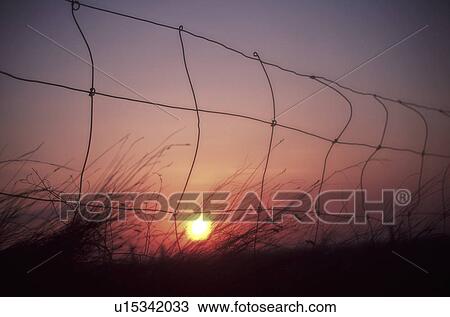 Stock Image - celestial, sunset, airy, grass, saskatchewan, fence. Fotosearch
