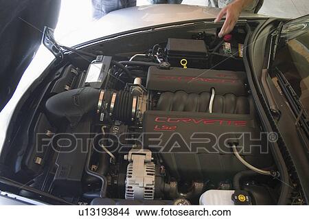 chevrolet, engine, usa, wisconsin, campbellsport, corvette View Large Photo Image Picture - chevrolet, engine, usa, wisconsin, campbellsport, corvette. Fotosearch