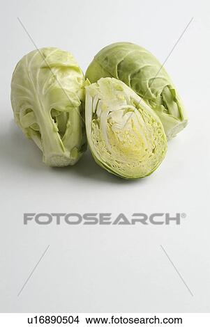 Picture - closeup, cabbage, brussel, background, isolated, brussels. Fotosearch