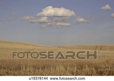clouds, scenic, hills, rolling, cummulous View Large Photo Image Picture - clouds, scenic, hills, rolling, cummulous. Fotosearch