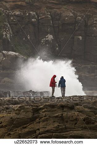 Stock Image - coast, crashing, zealands, new, scenic, surf. Fotosearch