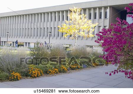 Stock Image - college, hall, macalester, center, science, olin. Fotosearch