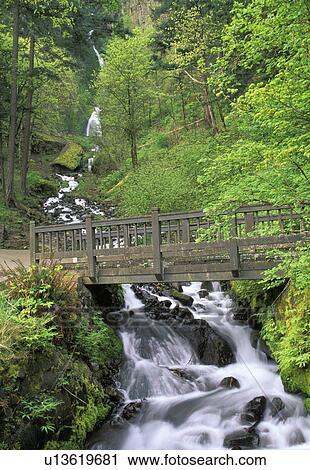 Stock Image - columbia, portland, tourism, creek, landscape, waterfall. Fotosearch