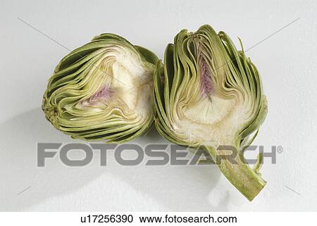 Stock Image - composite, thistlelike, scolymus, cynara, plant, mediterranean. Fotosearch
