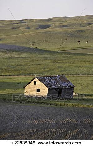 Stock Photography - coteau, abandoned, missouri, buildings, farm, old. Fotosearch