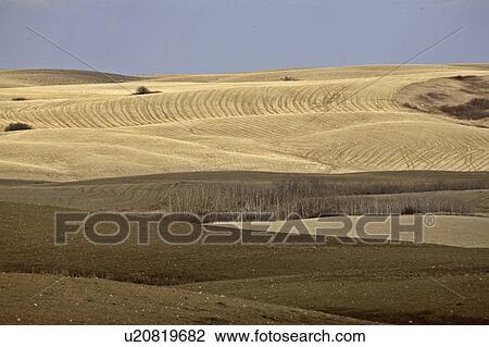 coteau, ploughed, missouri, field, stubble, sunlit View Large Photo Image Stock Image - coteau, ploughed, missouri, field, stubble, sunlit. Fotosearch