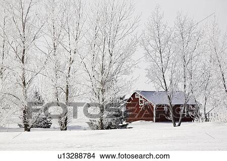 crystals, frost, ice, white, refers, hoar View Large Photo Image Picture - crystals, frost, ice, white, refers, hoar. Fotosearch