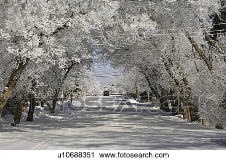 crystals, frost, ice, white, refers, hoar View Large Photo Image Stock Image - crystals, frost, ice, white, refers, hoar. Fotosearch