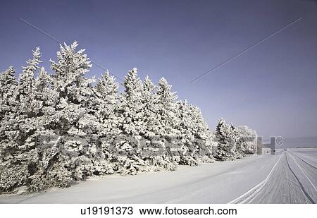 Stock Image - crystals, frost, ice, white, refers, hoar. Fotosearch