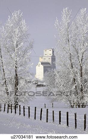 Stock Image - crystals, frost, ice, white, refers, hoar. Fotosearch