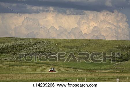 Stock Photograph - currents, clouds, convention, severe, contain, cumulonimbus. Fotosearch