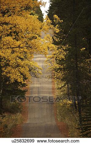 Stock Photo - cypress, block, centre, hills, autumn. Fotosearch