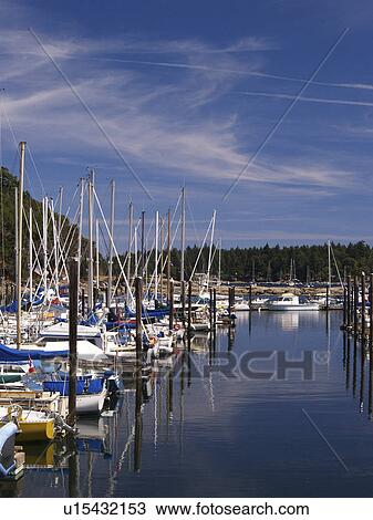 Stock Image - dock, columbia, british, nanaimo, sailboats. Fotosearch