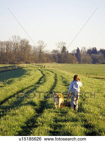 dog, released, rural, landscape, sky, model View Large Photo Image Stock Photograph - dog, released, rural, landscape, sky, model. Fotosearch