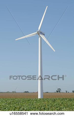 england, turbine, norfolk, somerton, west, wind View Large Photo Image Stock Image - england, turbine, norfolk, somerton, west, wind. Fotosearch