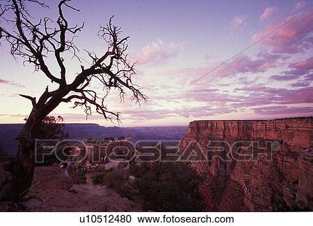 evening, canyon, arizona, park, national, grand View Large Photo Image Stock Image - evening, canyon, arizona, park, national, grand. Fotosearch