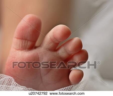 feet, jaw, moose, photographed, babys View Large Photo Image Stock Image - feet, jaw, moose, photographed, babys. Fotosearch