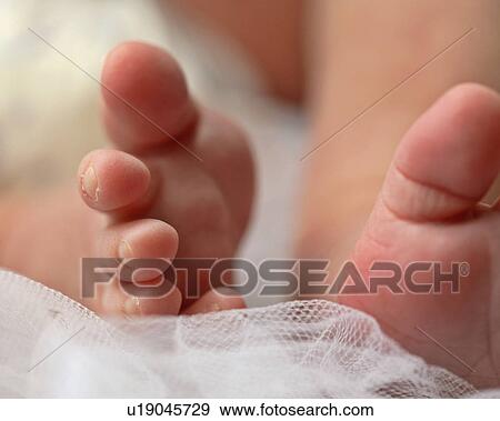 feet, jaw, moose, photographed, babys View Large Photo Image Stock Photo - feet, jaw, moose, photographed, babys. Fotosearch