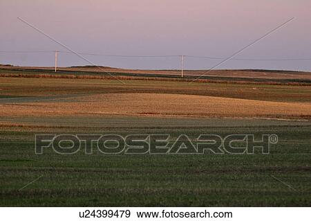Stock Photo - fields, light, harvested, sun, setting, low. Fotosearch