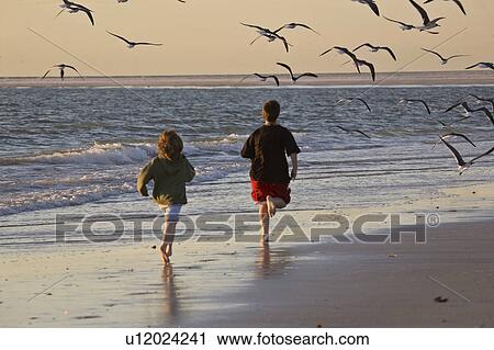 Stock Image - florida, girl, scenic, gulls, chasing, boy. Fotosearch