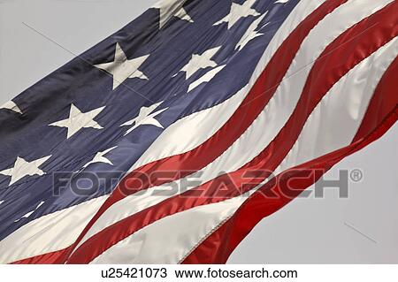 Stock Image - florida, glory, scenic, wind, blowing, old. Fotosearch