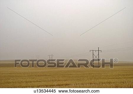 fog, morning, canada, saskatchewan, scenic, foggy View Large Photo Image Stock Photography - fog, morning, canada, saskatchewan, scenic, foggy. Fotosearch