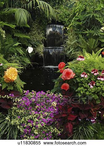foliage, waterfall, flowers, through, rushing, small View Large Photo Image Stock Photography - foliage, waterfall, flowers, through, rushing, small. Fotosearch