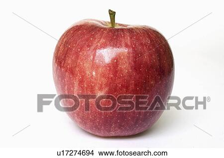 foo, looking, healthy, ripe, fresh, apple View Large Photo Image Picture - foo, looking, healthy, ripe, fresh, apple. Fotosearch