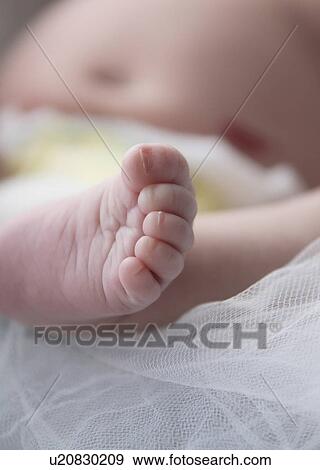 foot, studio, macmaster, photographed, baby View Large Photo Image Stock Photo - foot, studio, macmaster, photographed, baby. Fotosearch