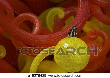 Stock Photo - gallery, butterfly, art, glass, blown, zebra. Fotosearch