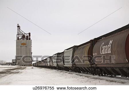Stock Photography - grain, passing, inland, lake, foam, train. Fotosearch